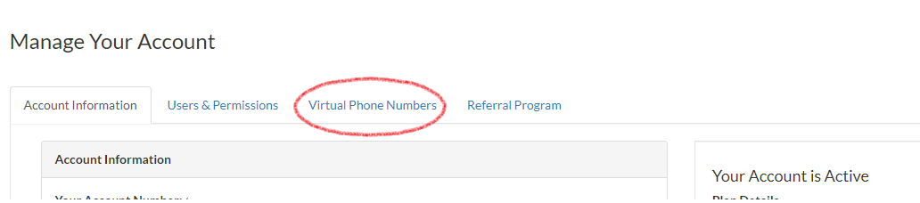 Virtual Phone Numbers Tab