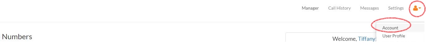 User Icon and Account Menu