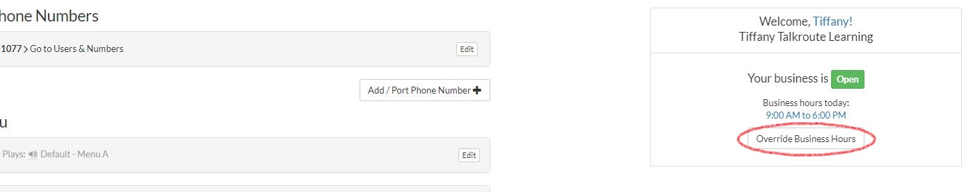 Override Business Hours Button